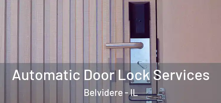 Automatic Door Lock Services Belvidere - IL
