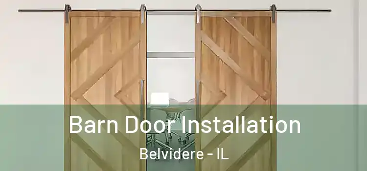 Barn Door Installation Belvidere - IL