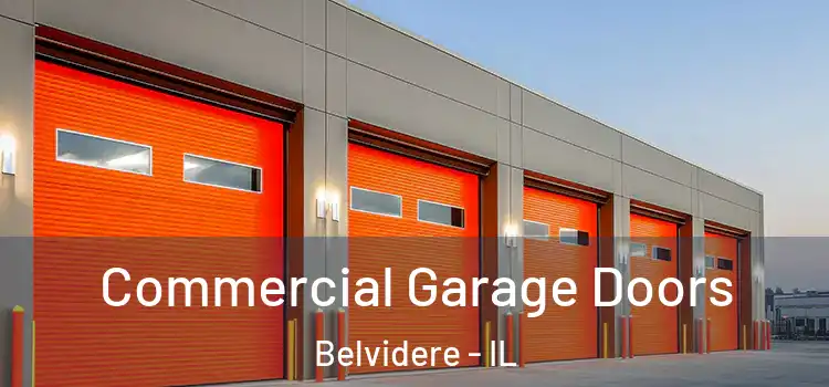  Commercial Garage Doors Belvidere - IL