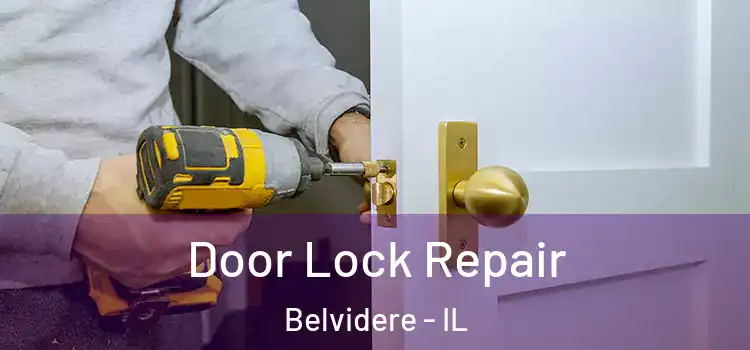  Door Lock Repair Belvidere - IL