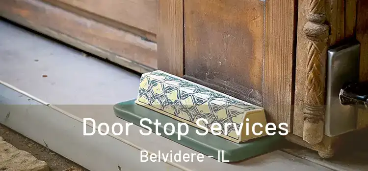Door Stop Services Belvidere - IL