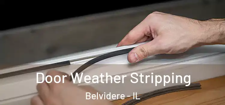  Door Weather Stripping Belvidere - IL