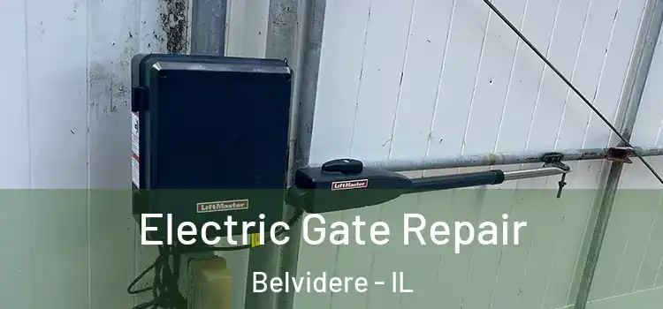  Electric Gate Repair Belvidere - IL