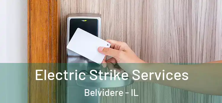 Electric Strike Services Belvidere - IL