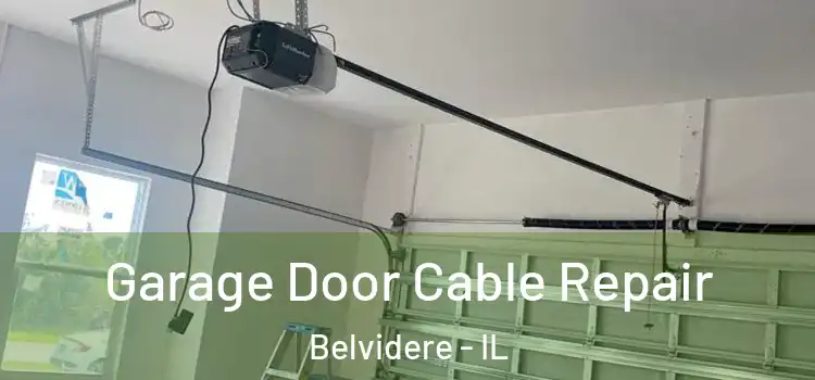  Garage Door Cable Repair Belvidere - IL