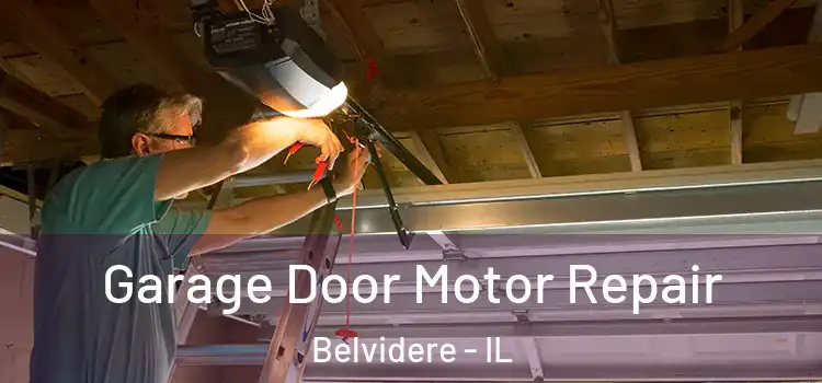  Garage Door Motor Repair Belvidere - IL