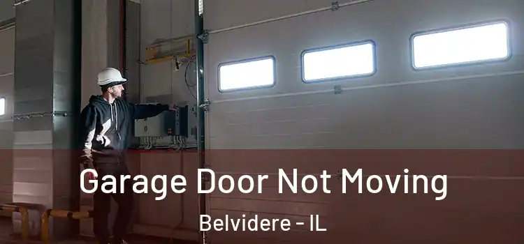  Garage Door Not Moving Belvidere - IL