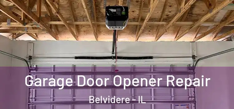  Garage Door Opener Repair Belvidere - IL