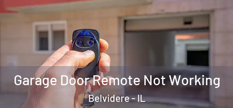  Garage Door Remote Not Working Belvidere - IL