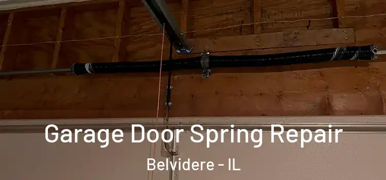  Garage Door Spring Repair Belvidere - IL