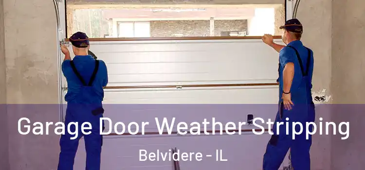  Garage Door Weather Stripping Belvidere - IL