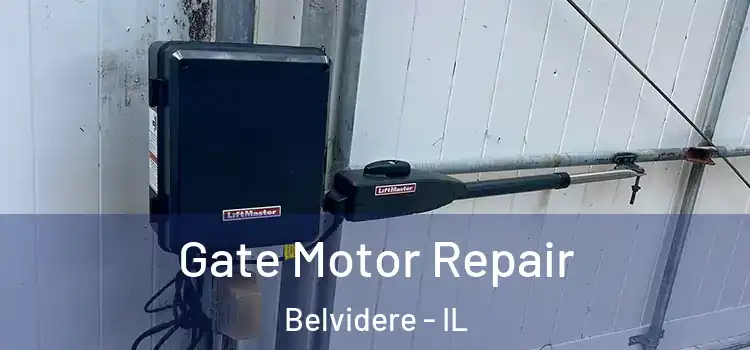  Gate Motor Repair Belvidere - IL