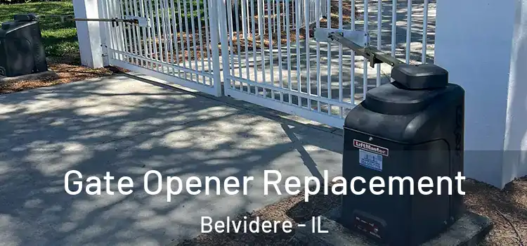  Gate Opener Replacement Belvidere - IL