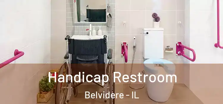  Handicap Restroom Belvidere - IL