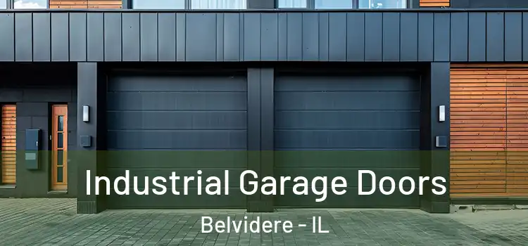  Industrial Garage Doors Belvidere - IL