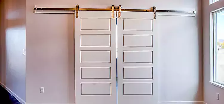 Glass Barn Door with Installation Hardware Kit Belvidere