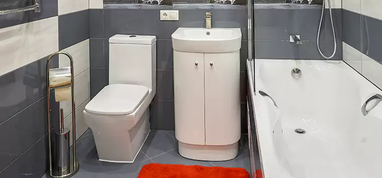 Hansgrohe Shaving Mirror Belvidere