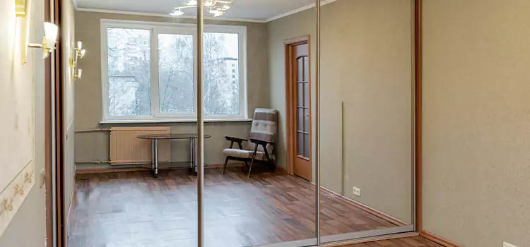 Mirror Closet Door Roller Replacement Belvidere