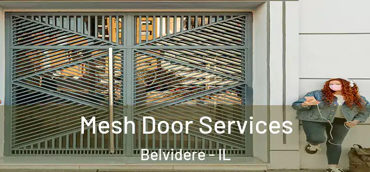 Mesh Door Services Belvidere - IL