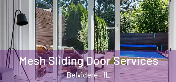  Mesh Sliding Door Services Belvidere - IL