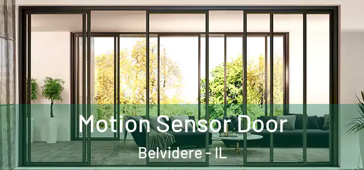 Motion Sensor Door Belvidere - IL