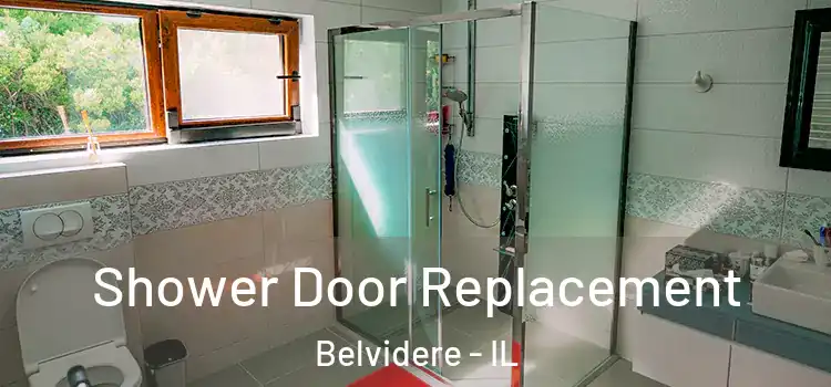  Shower Door Replacement Belvidere - IL