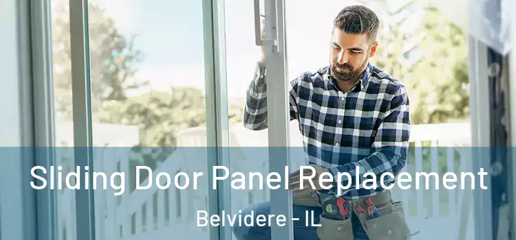  Sliding Door Panel Replacement Belvidere - IL