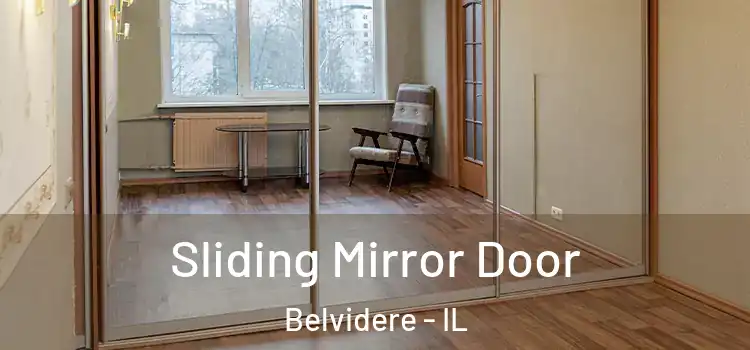  Sliding Mirror Door Belvidere - IL