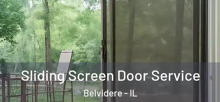  Sliding Screen Door Service Belvidere - IL