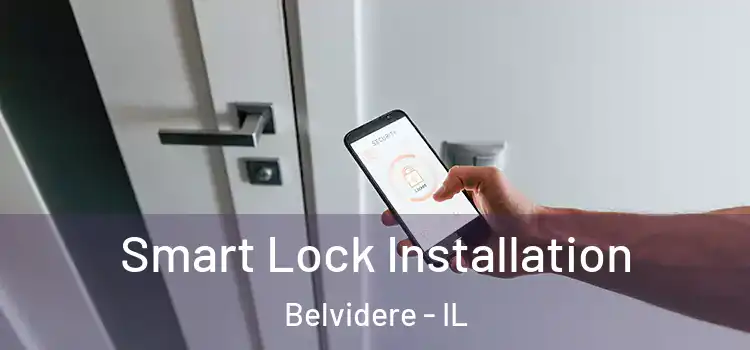 Smart Lock Installation Belvidere - IL