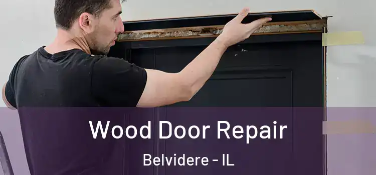 Wood Door Repair Belvidere - IL
